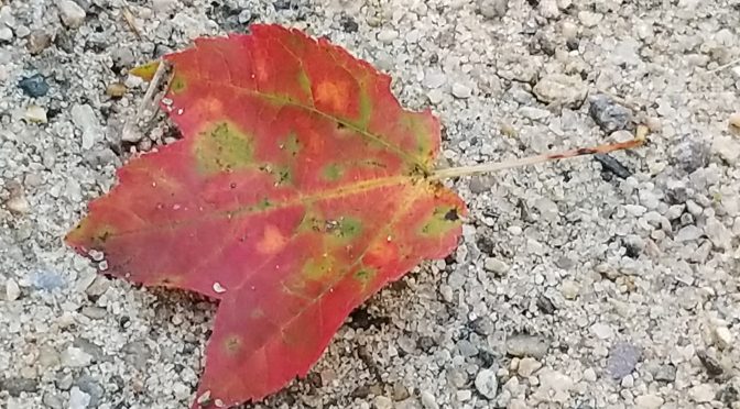 October happenings