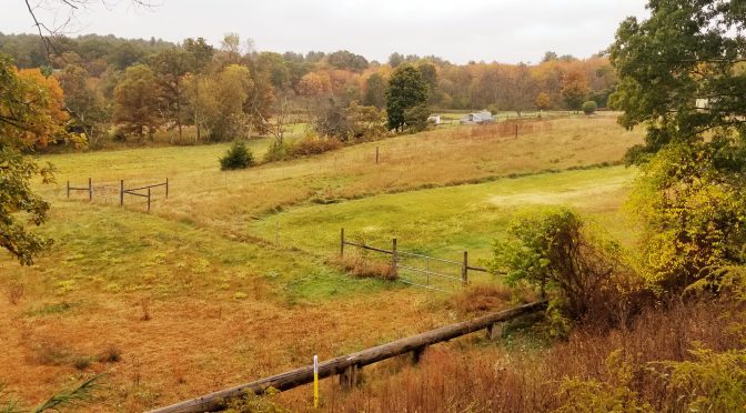 SNETT Trail Featured on Finding Easy Walks