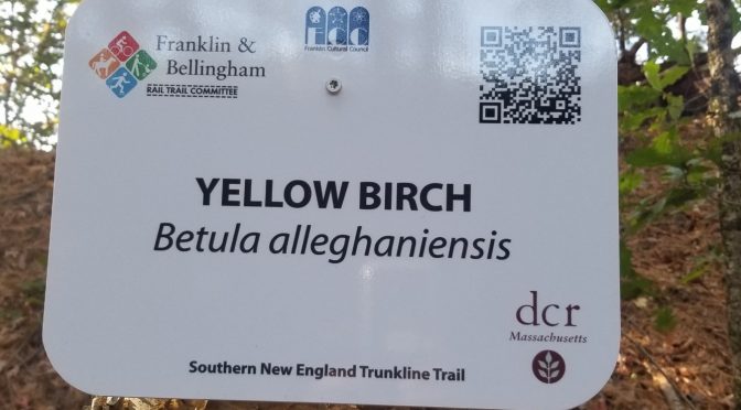 Tree Signage Installed!